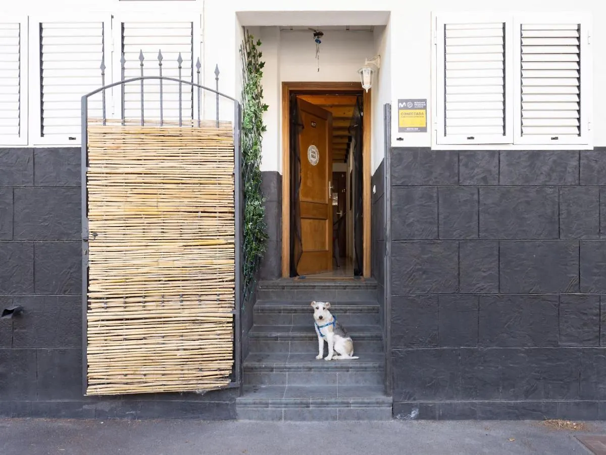 Apartment San Borondon By Interhome Puertito de Guimar